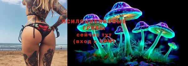 jwh Аркадак