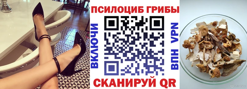 Псилоцибиновые грибы Cubensis  цена   Бабаево 